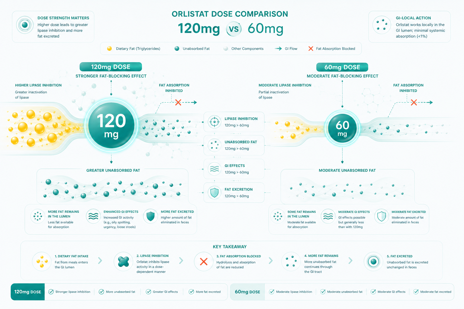 Orlistat 120mg vs 60mg