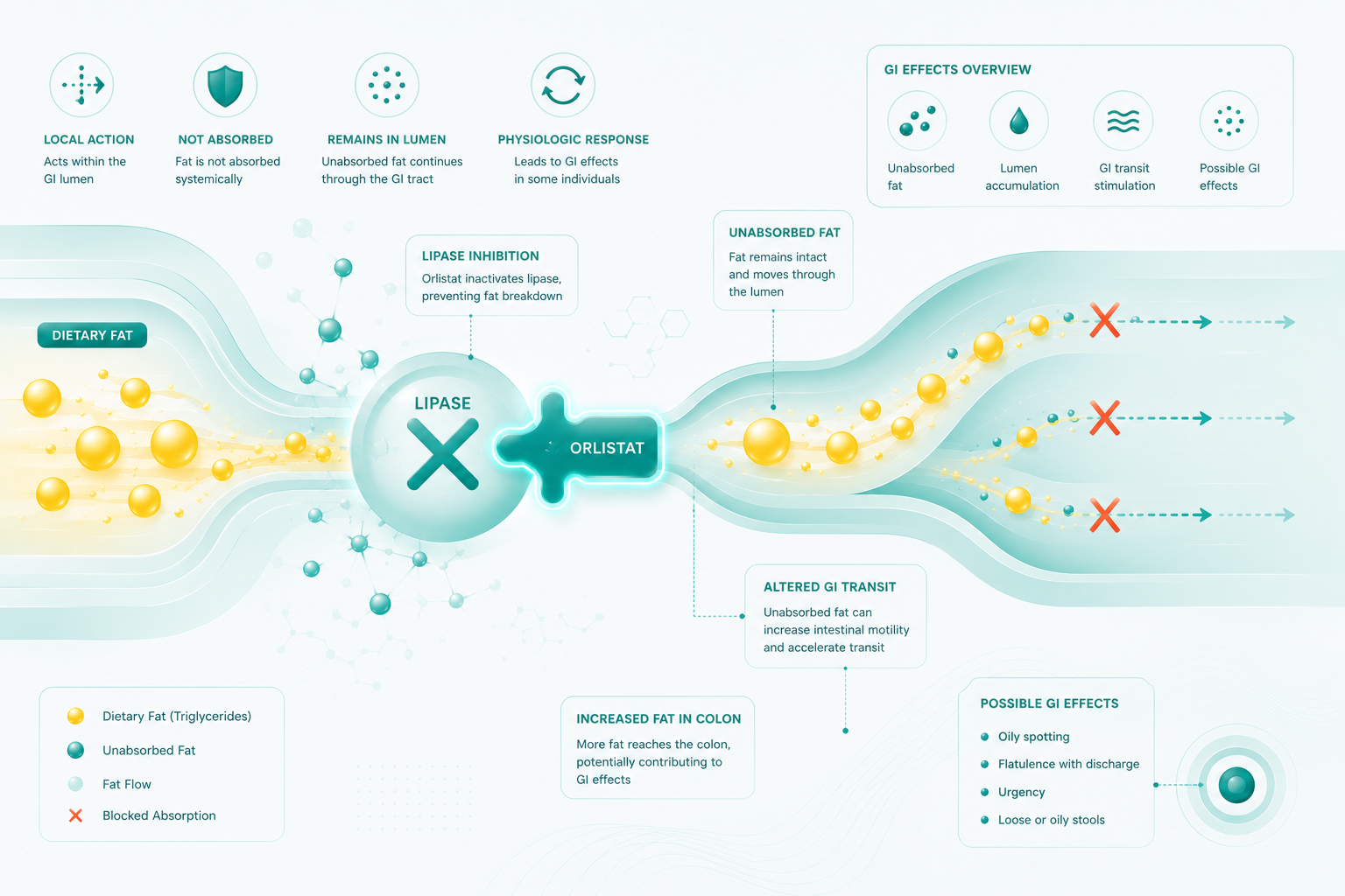 Orlistat GI Effects