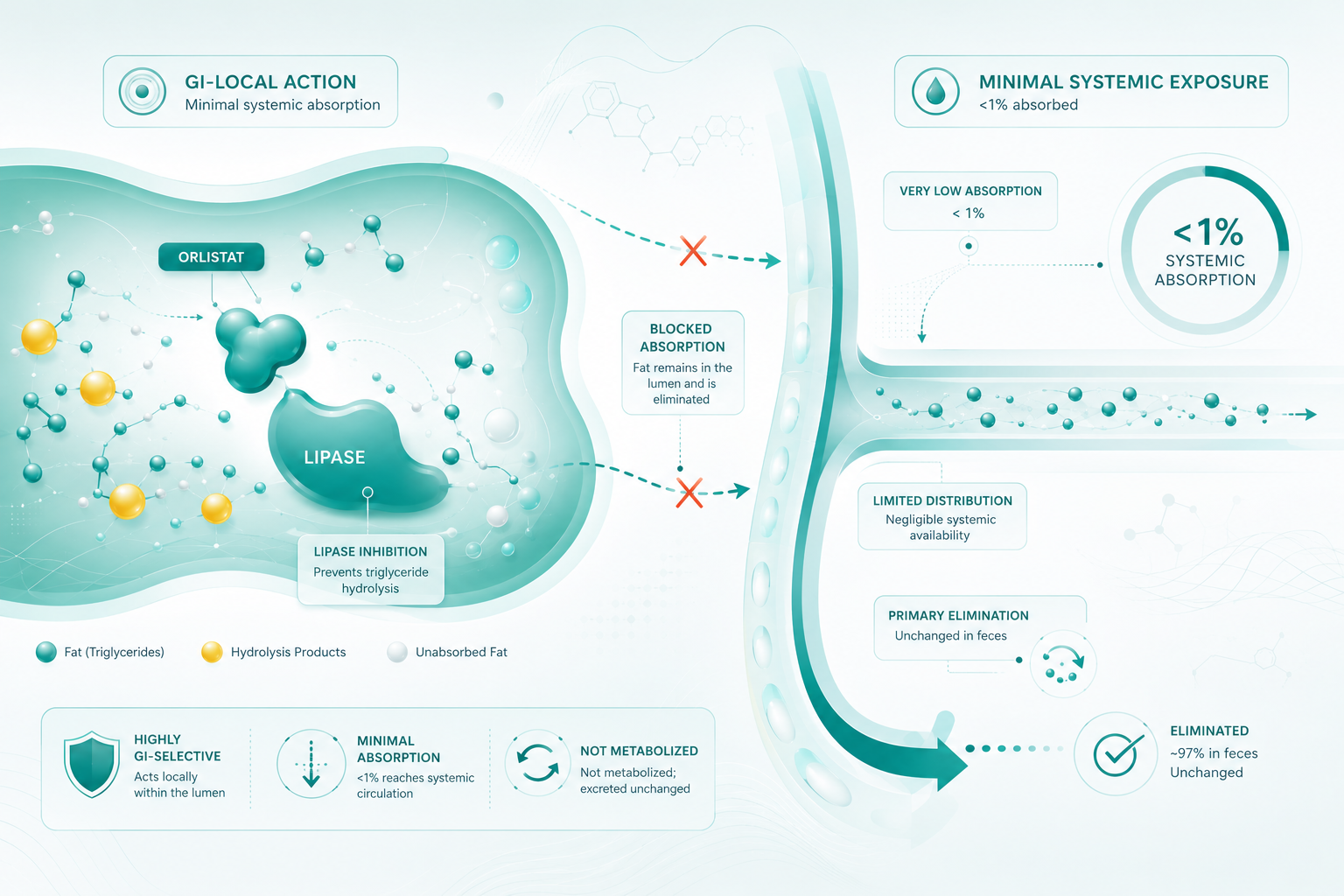 Orlistat Pharmacokinetics