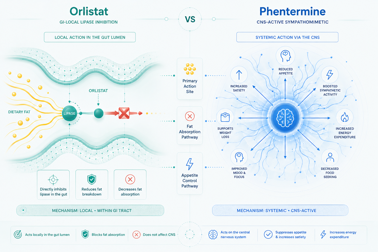 Orlistat vs Phentermine